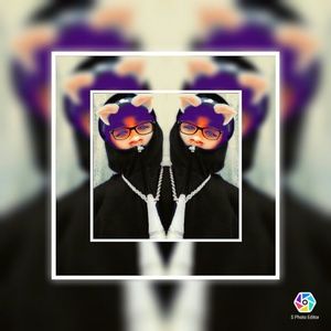 Meet your Posher, Donovan