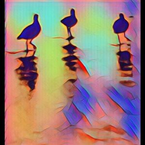 Meet your Posher, Elle