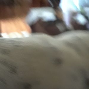 Meet your Posher, Trinity