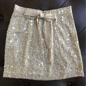 Sequined Skirt
