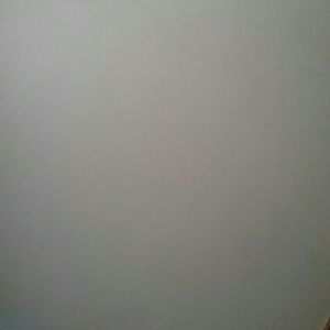 Meet your Posher, Jayla