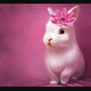 Meet your Posher, Petronella