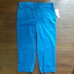 Blue Dressy Capri Pants