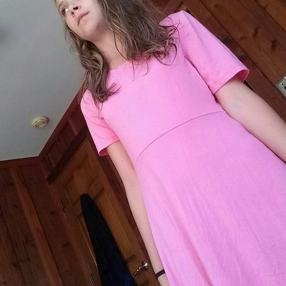 Incredibly soft pink skater dress