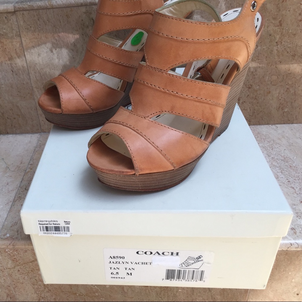 Coach Jazlyn Vachetta platform sandal