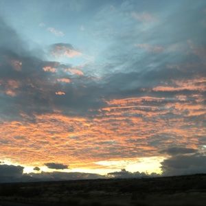 Meet your Posher, Leann