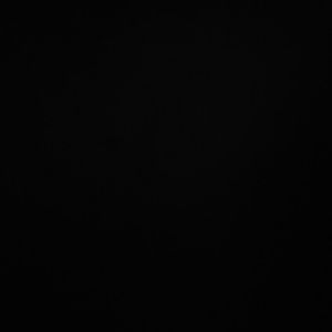 Meet your Posher, Ronnie