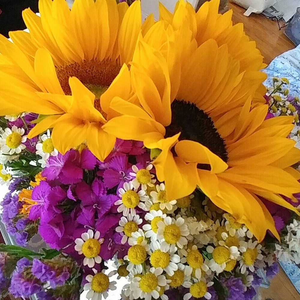 Meet your Posher, Victoria