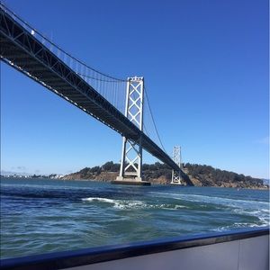 Meet your Posher, Brady