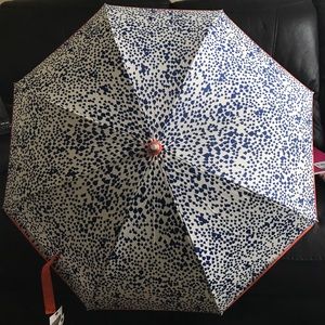 Umbrella☂️