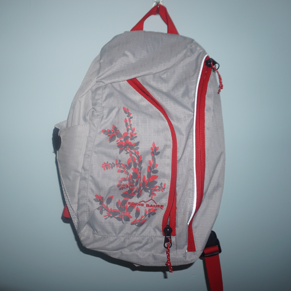 Cute Eddie Bauer shoulder bag!