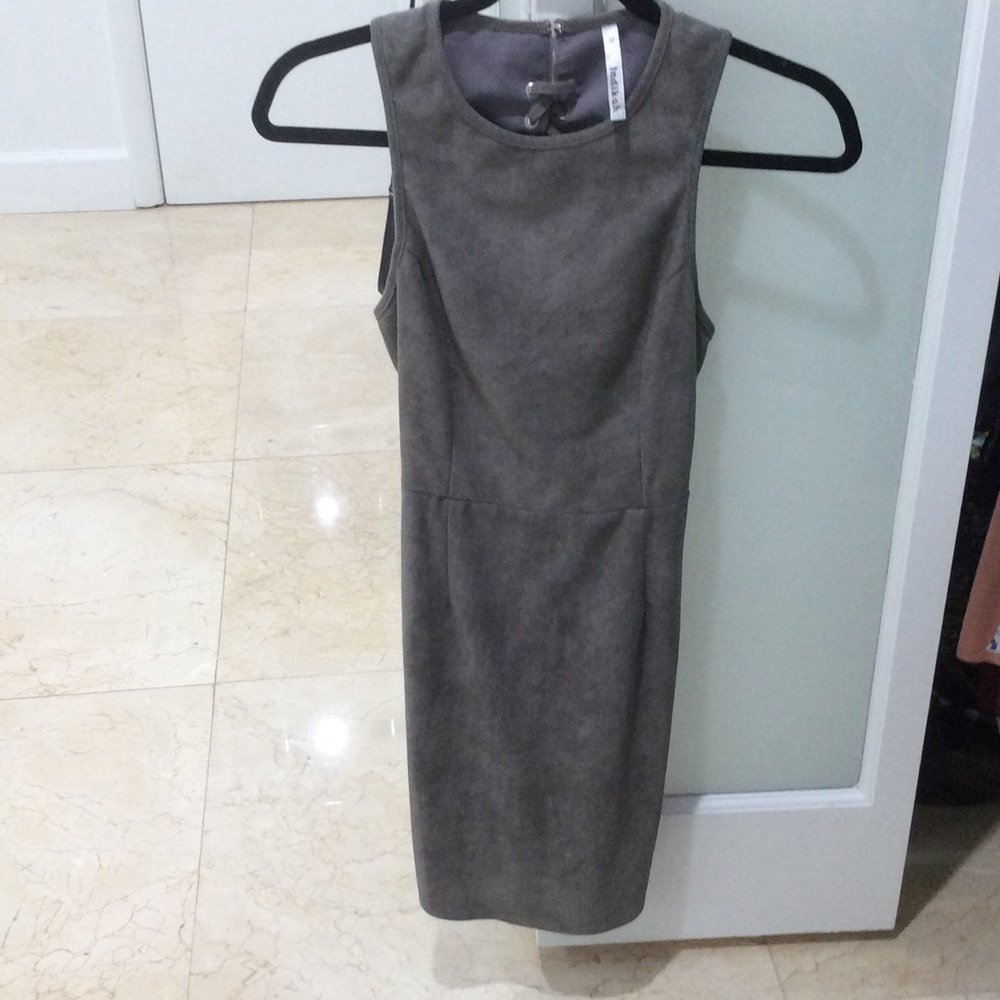 LF Grey Suede Dress