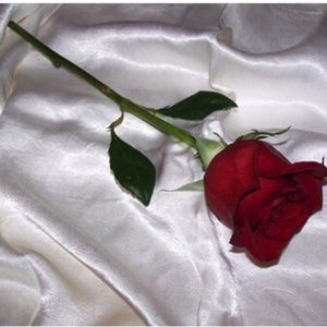 FREE CHOKERS AND ACCESSORIES 🌹💗🍒