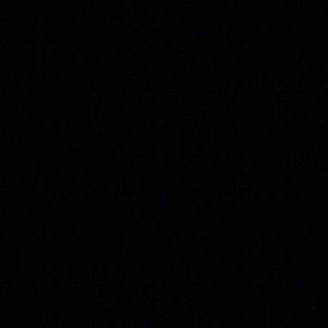 Meet your Posher, Priscilla