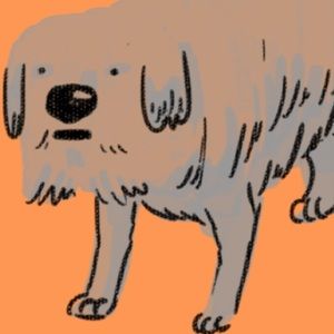 Meet your Posher, Meg