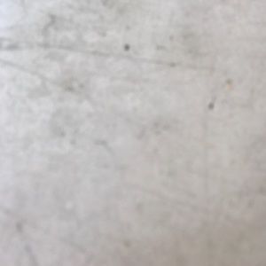 Meet your Posher, Gus