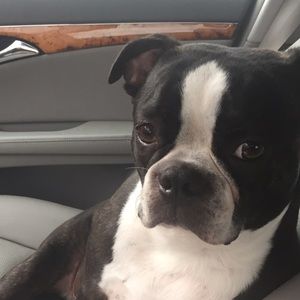 Meet your Posher, Rhonda