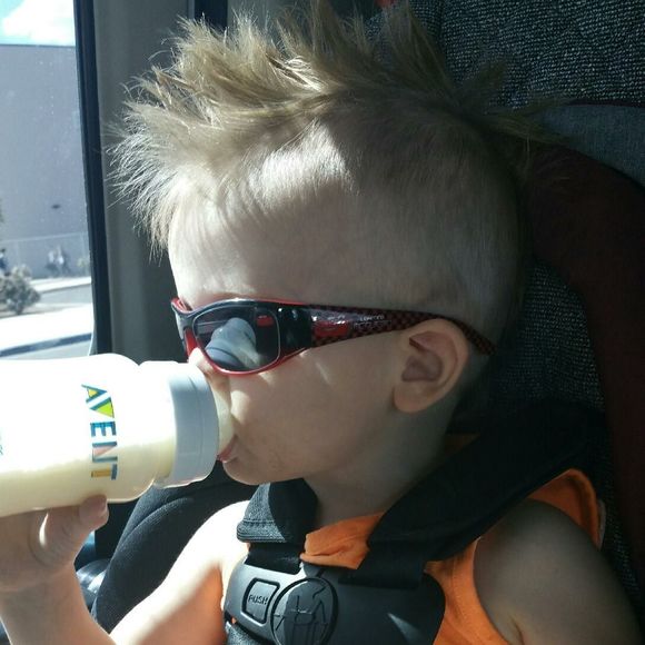 Meet your Posher, Brayden - Picture 1 of 1