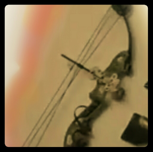 Alpine archery Other Alpine Archery Compound Bow Poshmark