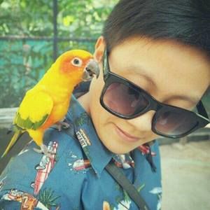 Meet your Posher, Sungz