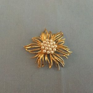 Napier Brooch
