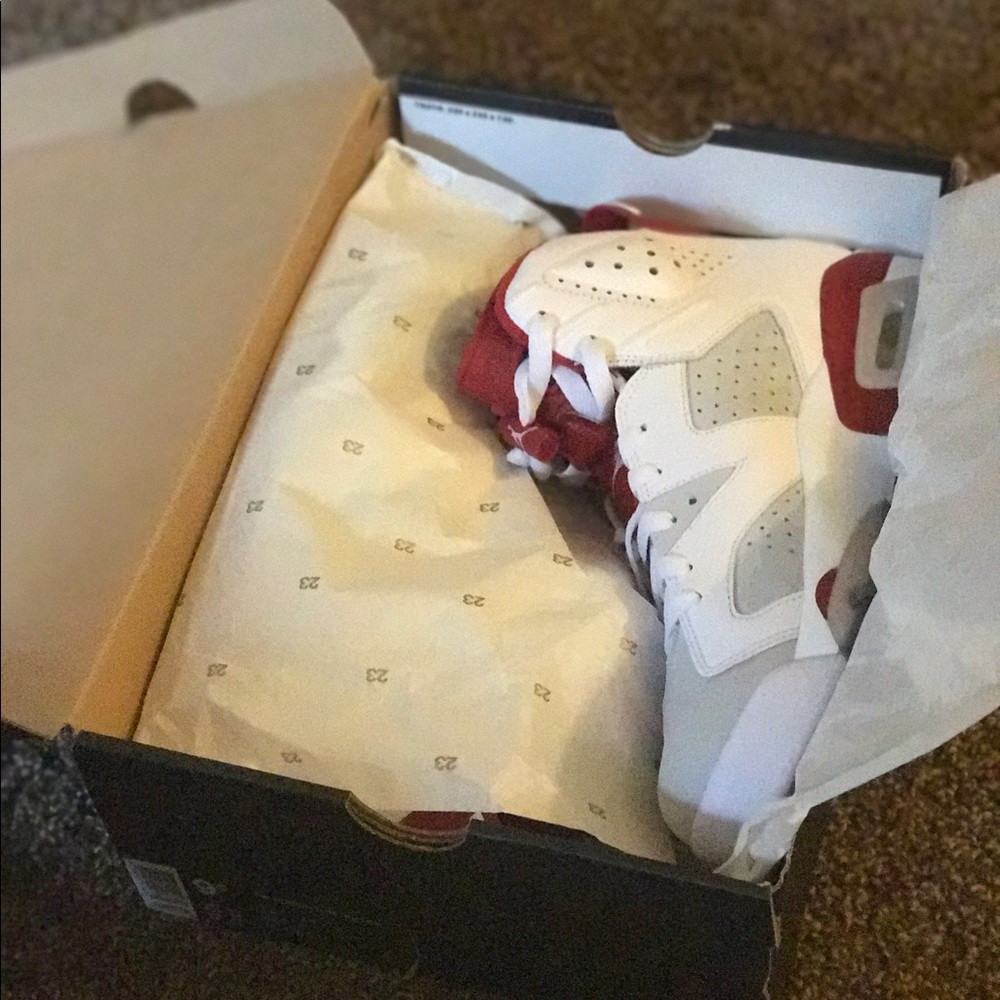 Jordan Retro 6
