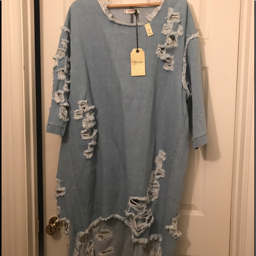 Distress denim dress