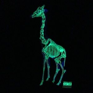 Meet your Posher, Mao