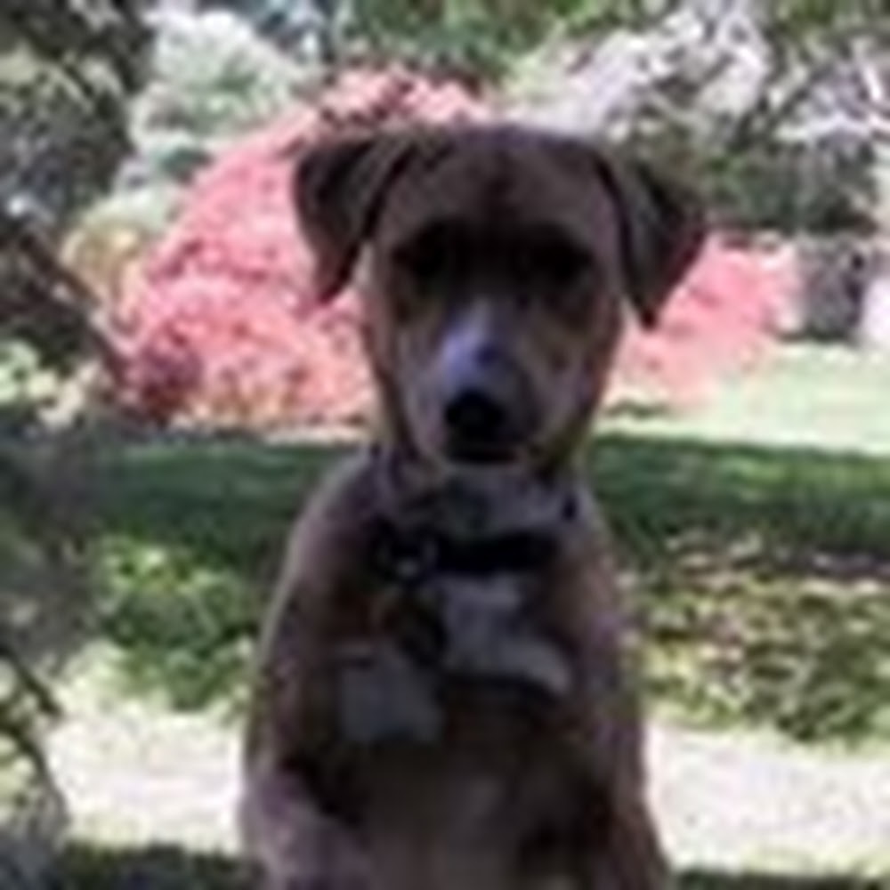 Meet your Posher, Kimiko