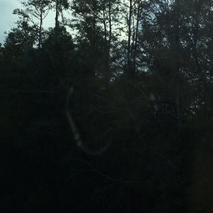 Meet your Posher, Joan