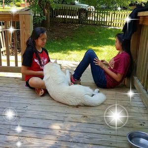 Meet your Posher, Emilia