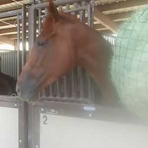 Meet your Posher, Rosa