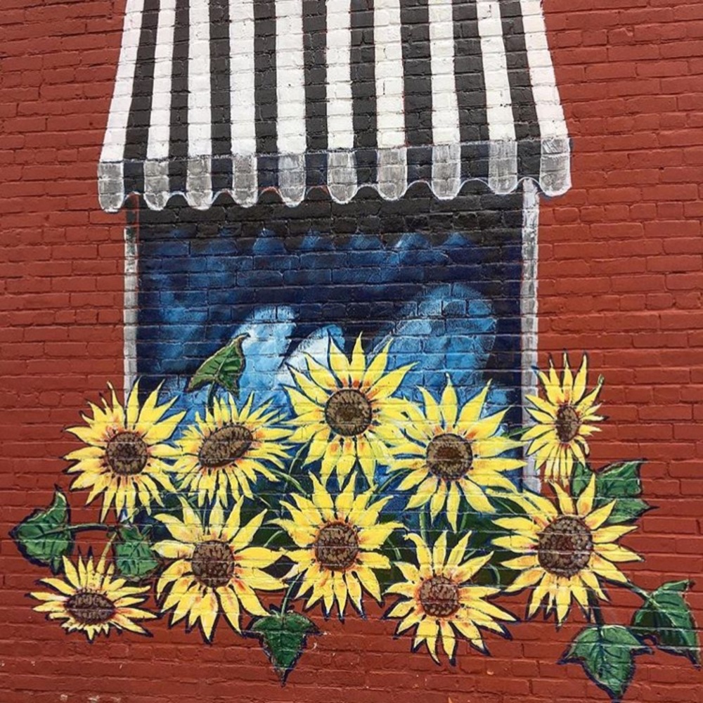 Meet your Posher, Katlyn