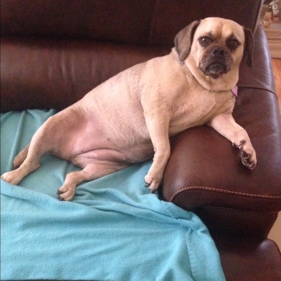 Meet your Posher, Andrew - Picture 1 of 1