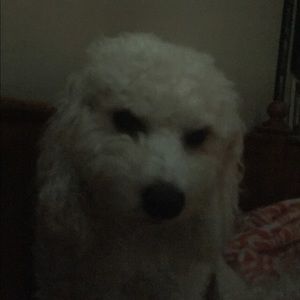 Meet your Posher, Hope