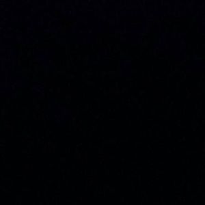 Meet your Posher, Lyla