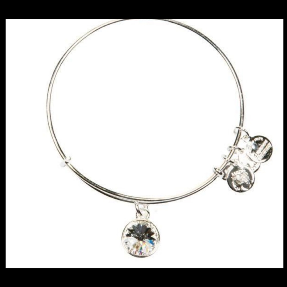 Alex and Ani Bracelet