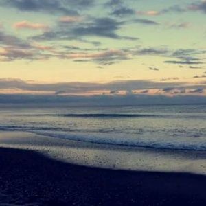 Meet your Posher, Rylee