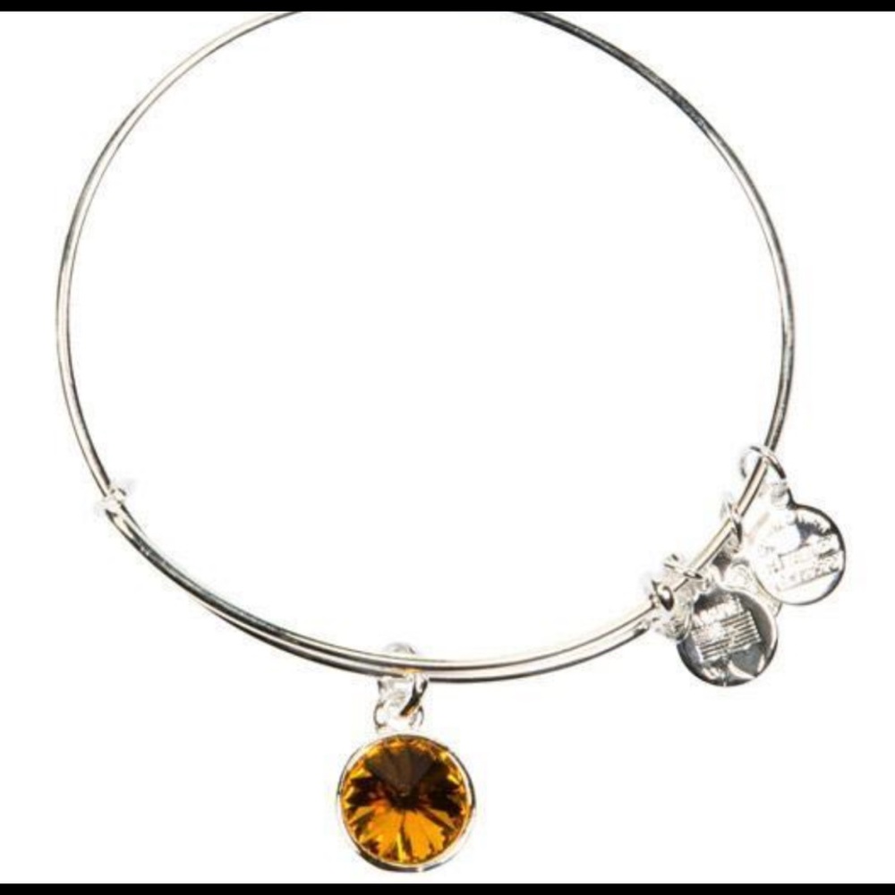 Alex and Ani Bracelet November