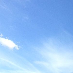 Meet your Posher, Annie