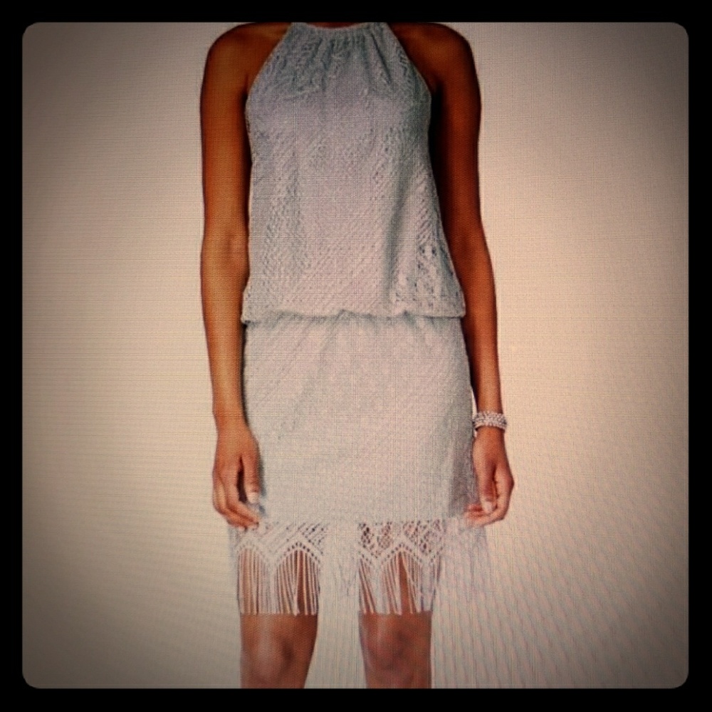 NWT Metalic Silver Sage Fringe Dress