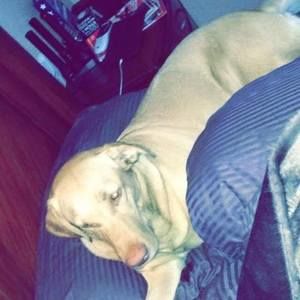 Meet your Posher, Londyn