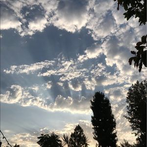 Meet your Posher, Roger