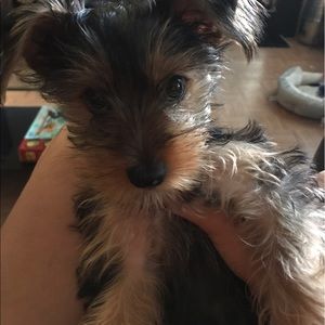 Meet your Posher, Aileen