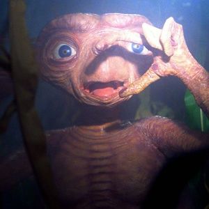 Meet your Posher, Dan