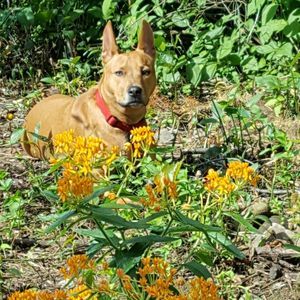 Meet your Posher, Linda