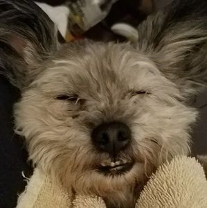 Meet your Posher, Heather