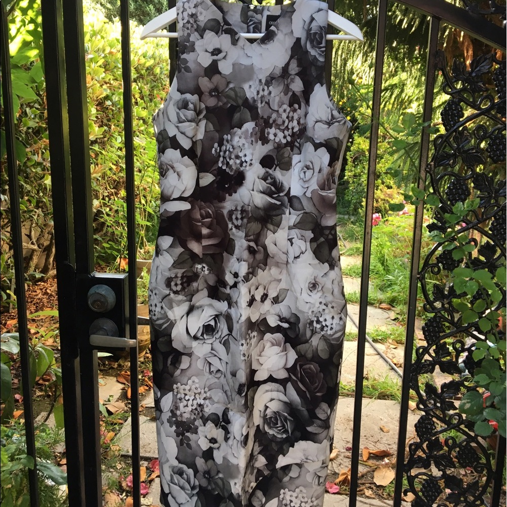 ASOS Floral Midi Sheath in Size 8