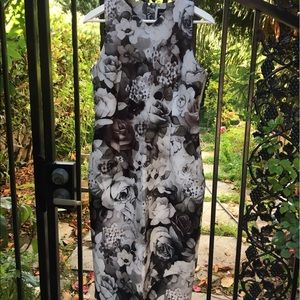 ASOS Floral Midi Sheath in Size 8