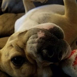 Meet your Posher, Nicole